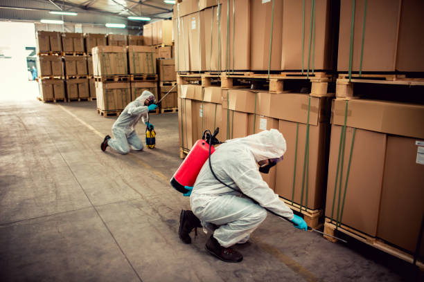 Best Exterminator Services  in Osseo, MN