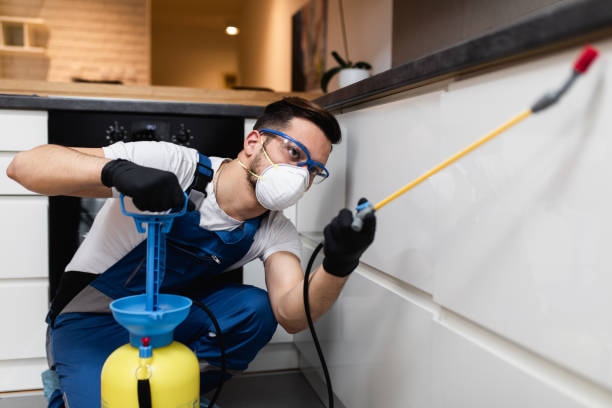 Best Bed Bug Extermination  in Osseo, MN