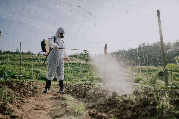 Best Commercial Pest Control Services  in Osseo, MN