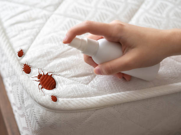 Best Insect Control  in Osseo, MN