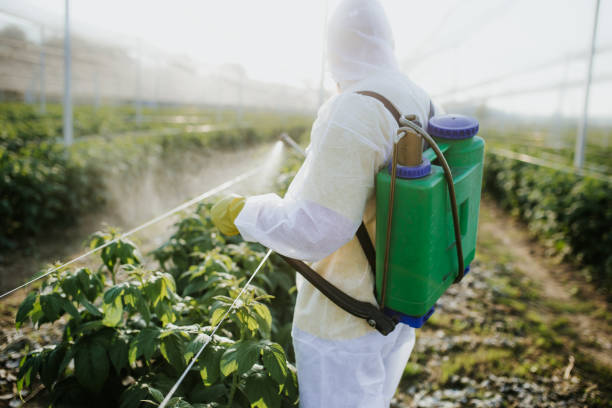 Best Insect Control  in Osseo, MN